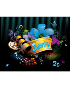 Spring 2g