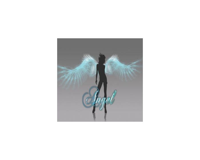 Angel 2g
