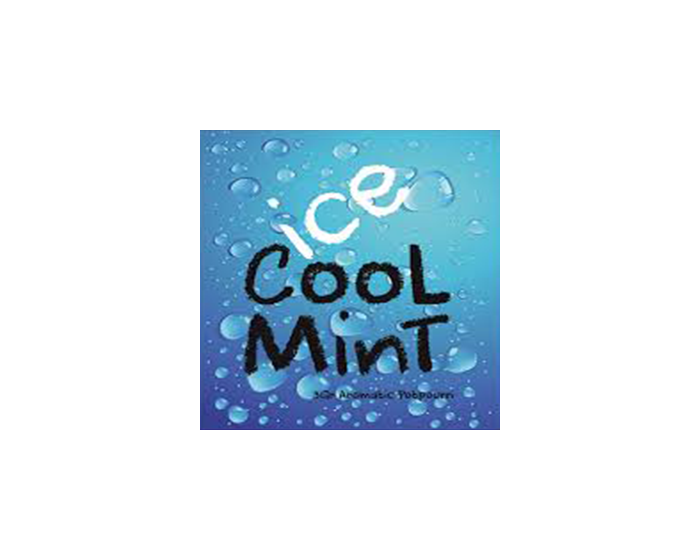 ice Cool Mint 3g