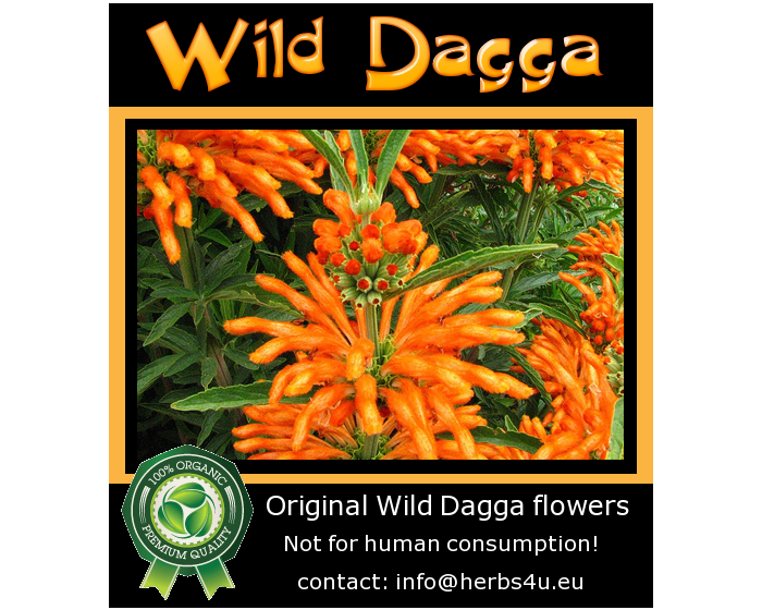 Wild Dagga Blüten 3g