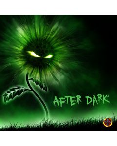 After Dark 3g